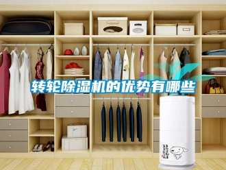 知識百科轉(zhuǎn)輪除濕機(jī)的優(yōu)勢有哪些