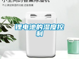 行業(yè)新聞鋰電池的濕度控制