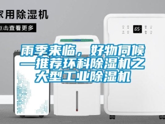知識(shí)百科雨季來臨，好物伺候—推薦環(huán)科除濕機(jī)之大型工業(yè)除濕機(jī)