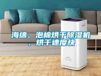 行業(yè)新聞海綿、泡棉烘干除濕機(jī)，烘干速度快