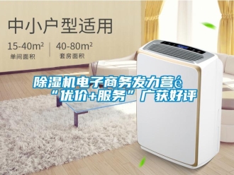 企業(yè)新聞除濕機電子商務(wù)發(fā)力營銷“優(yōu)價+服務(wù)”廣獲好評