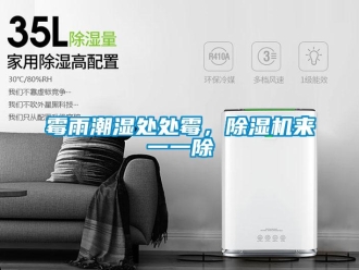 行業(yè)新聞霉雨潮濕處處霉，除濕機來一一除