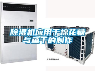 企業(yè)新聞除濕機應(yīng)用于棉花糖與魚干的制作