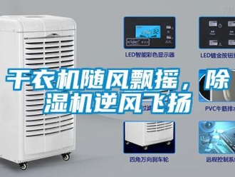 企業(yè)新聞干衣機(jī)隨風(fēng)飄搖，除濕機(jī)逆風(fēng)飛揚(yáng)