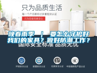 常見問題晚春雨季 ｜ 要怎么守護(hù)好我們的家具？做好防潮工作？