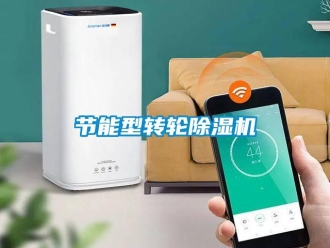 行業(yè)新聞節(jié)能型轉(zhuǎn)輪除濕機(jī)