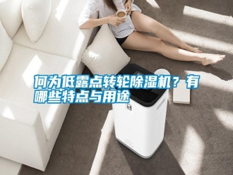 行業(yè)新聞何為低露點(diǎn)轉(zhuǎn)輪除濕機(jī)？有哪些特點(diǎn)與用途