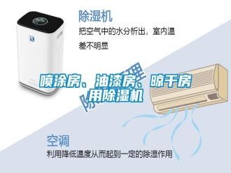行業(yè)新聞噴涂房、油漆房、晾干房用除濕機(jī)