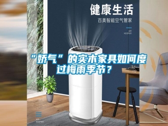 常見(jiàn)問(wèn)題“嬌氣”的實(shí)木家具如何度過(guò)梅雨季節(jié)？