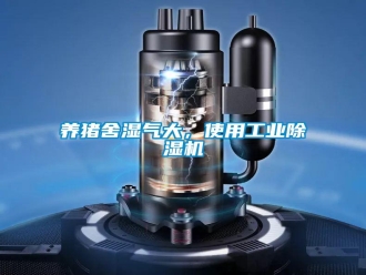 知識(shí)百科養(yǎng)豬舍濕氣大，使用工業(yè)除濕機(jī)