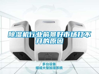 企業(yè)新聞除濕機(jī)行業(yè)前景好市場打不開的原因