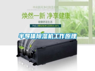 常見(jiàn)問(wèn)題半導(dǎo)體除濕機(jī)工作原理