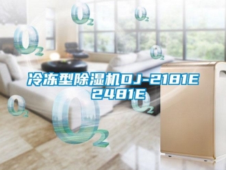 行業(yè)新聞冷凍型除濕機DJ-2181E 2481E