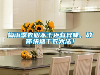 行業(yè)新聞梅雨季衣服不干還有異味，教你快速干衣大法！