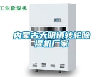 企業(yè)新聞內蒙古大明鎮(zhèn)轉輪除濕機廠家