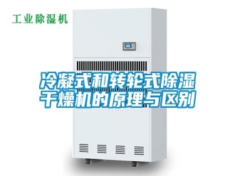 行業(yè)新聞冷凝式和轉(zhuǎn)輪式除濕干燥機的原理與區(qū)別