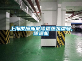 行業(yè)新聞上海供應泳池除濕熱泵型號,除濕機