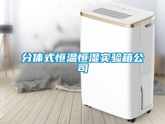 知識(shí)百科分體式恒溫恒濕實(shí)驗(yàn)箱公司