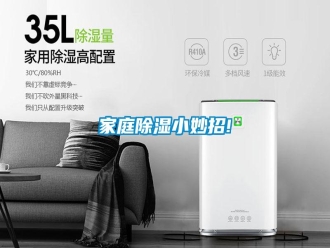 行業(yè)新聞家庭除濕小妙招!