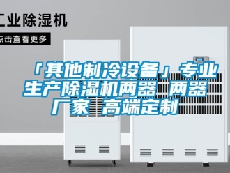 企業(yè)新聞「其他制冷設備」專業(yè)生產(chǎn)除濕機兩器 兩器廠家 高端定制