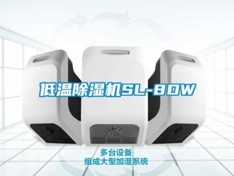 行業(yè)新聞低溫除濕機(jī)SL-8DW