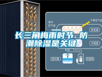 知識(shí)百科長三角梅雨時(shí)節(jié) 防潮除濕是關(guān)鍵