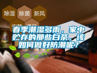 常見問題春季潮濕多雨，家中貯存的那些白茶，該如何做好防潮呢？