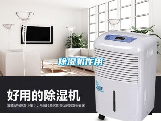 企業(yè)新聞除濕機作用