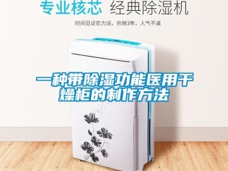 企業(yè)新聞一種帶除濕功能醫(yī)用干燥柜的制作方法