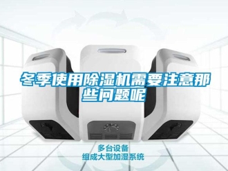 行業(yè)新聞冬季使用除濕機需要注意那些問題呢