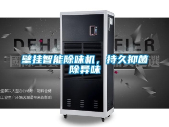 常見問題壁掛智能除味機(jī)，持久抑菌除異味