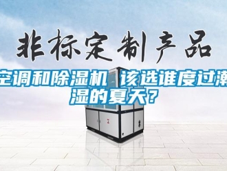 行業(yè)新聞空調(diào)和除濕機 該選誰度過潮濕的夏天？
