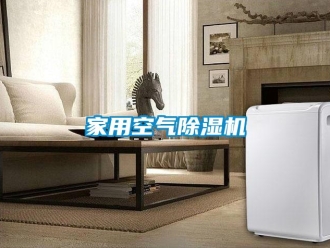 行業(yè)新聞家用空氣除濕機(jī)