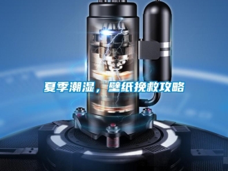 知識(shí)百科夏季潮濕，壁紙挽救攻略