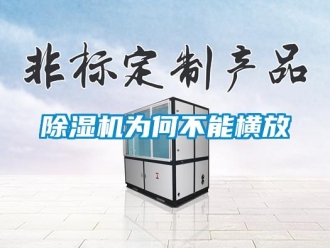 企業(yè)新聞除濕機為何不能橫放