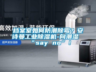 企業(yè)新聞檔案室如何防潮除霉？安詩(shī)曼工業(yè)除濕機(jī)-向潮濕“say no”！