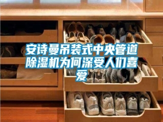 企業(yè)新聞安詩(shī)曼吊裝式中央管道除濕機(jī)為何深受人們喜愛(ài)
