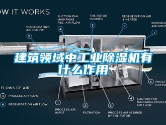 行業(yè)新聞建筑領(lǐng)域中工業(yè)除濕機(jī)有什么作用