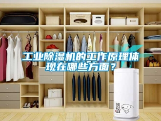 企業(yè)新聞工業(yè)除濕機(jī)的工作原理體現(xiàn)在哪些方面？