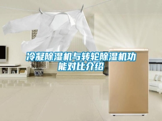行業(yè)新聞冷凝除濕機與轉(zhuǎn)輪除濕機功能對比介紹