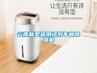 企業(yè)新聞云南新型檢測(cè)試劑車間除濕機(jī)
