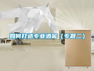常見問題如何打造專業(yè)酒窖（專題二）