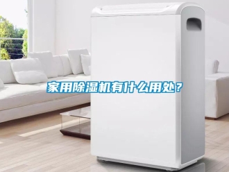 行業(yè)新聞家用除濕機(jī)有什么用處？