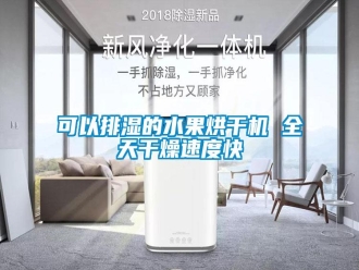 行業(yè)新聞可以排濕的水果烘干機 全天干燥速度快