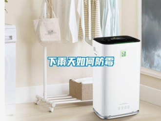 常見(jiàn)問(wèn)題下雨天如何防霉