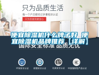 企業(yè)新聞便宜除濕機(jī)什么牌子好 便宜除濕機(jī)品牌推薦【詳解】