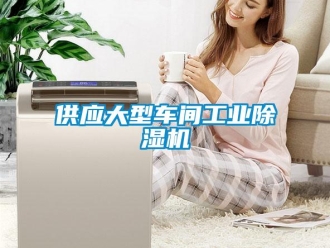 常見問題供應(yīng)大型車間工業(yè)除濕機