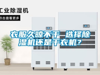 知識百科衣服久晾不干 選擇除濕機(jī)還是干衣機(jī)？