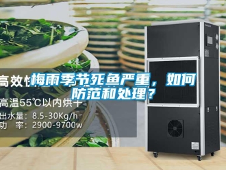 常見問題梅雨季節(jié)死魚嚴重，如何防范和處理？