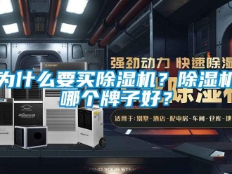 行業(yè)新聞為什么要買除濕機？除濕機哪個牌子好？